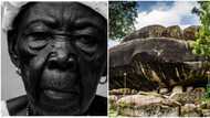 Olumo Rock deity and the 137-year-old woman who looked after it: History and why it is venerated by the people