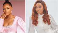 Nigerian fashionista Powede Awujo slays in gorgeous outfits worth over N1m for birthday shoot