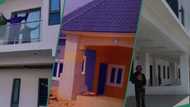 Phyno, Ruth Eze, 6 celebs who bought cars and built houses between August & October