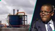 Dangote: 5 steps to buy refinery shares as IPO launch date is announced