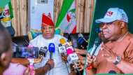 Zaben Ondo: Cikin Ganduje ya kada bayan gwamnan PDP ya ba da lakanin kayar da APC