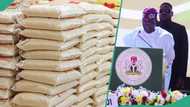 How to get federal government's 50Kg bag of rice at ₦40k