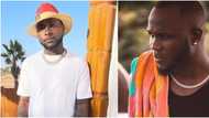 I love and miss you: Davido declares as he remembers late Obama, shares his photo online