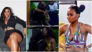 “You stink”: BBNaija Ceec & Ilebaye in a messy fight, get physical and call each other names