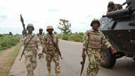 Nigerian Army kills 81 terrorists, loses officer in Borno, Yobe