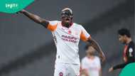 Victor Osimhen: Turkish pundit sends message to Galatasaray star ahead of Champions League clash