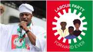 Lagos gubernatorial election: Labour Party makes fresh move for intervention