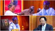 "How Tinubu dodged a poisonous knife with Akume’s appointment": Shehu Sani makes strong revelation