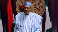 Gov Matawalle persecuting us, APC chieftain’s family tells President Buhari