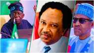 "They ignored corpses of their brothers": Sani grieves for north, compares Tinubu, Buhari's reigns