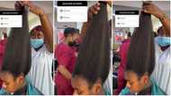 "Hair long pass Dangote truck": Lady shows off long natural hair in sweet video, causes commotion online