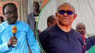 “I saw house arrest”: Prophet David Elijah releases prophecy on Peter Obi