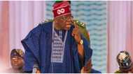 President Tinubu reacts to killings in Plateau, Benue, Gives 1 crucial order to security agencies