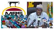 MRS, Duke Oil, others in trouble as Reps wade Into fuel scarcity, contamination
