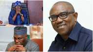 Atiku, Tinubu or Obi? Ex-Lawmaker reveals how Nigerians should vote for preferred presidential candidate