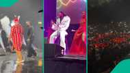 Clips from Flavour's concert at OVO Wembley go viral as Bright Chimezie, Chike, Phyno all attend