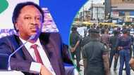 UNILAG protest: Shehu Sani reveals what Nigerian students should do on tuition hike