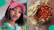 “Too cheap”: Woman buys full basket of tomatoes for ₦5k, mentions market in viral post, people react
