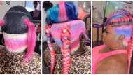 "It kept getting worse": Video of colourful hair tutorial leaves internet users amused