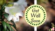 120 best get well soon messages and wishes for him to cheer him up