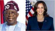 BREAKING: US VP Kamala Harris, UN secretary-general Guterres call Tinubu, details emerge