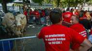 EU presents Mercosur deal for member states' approval