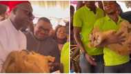 Viral video of man who attended event with pet lion causes mixed reactions online
