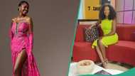 “Who is she? BBNaija's Vee claps back at Isilomo over critique of colleague's AMVCA, fans react