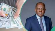 CBN names factors that drive the supply of dollar as naira crashes again