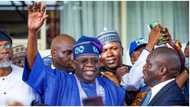 May 29: Why nothing can stop Tinubu's inauguration, prominent Nigerian lawyer reveals