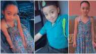 "So beautiful": Cute little girl who looks like Regina Daniels wows people in videos, many want kids like her