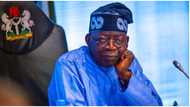 Tinubu borrows over N1.5trn from World Bank in 4 months, details emerge