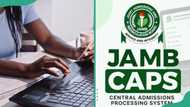 JAMB CAPS "Not Admitted" Status: What It Means and What to Do Right Now
