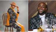 I knew he wasn’t real but gave him benefit of doubt: Cynthia Morgan on Davido, picks Wizkid, Burna over singer