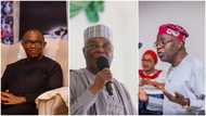 "We retire bishops, professors at 70": Peter Obi calls for retirement age for Nigerian politicians
