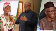 Former APC chieftain gives update on coalition against Tinubu