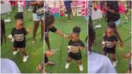 Where did she learn it from? Little girl shows off zazu virus dance moves in video, adults gather around her