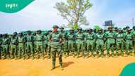 Banditry: Federal government expands forest guards initiative to 10 states, trains 9,000 personnel