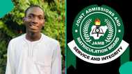 UTME 2026: Nigerian man shares worrying message brother received while trying to check result