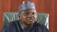 Sallamar hafsoshin tsaro: Mutane basu hango abinda Buhari yake hange, Garba Shehu