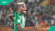 "Dem dey fight for woman": Fans react as Osimhen scores against Zimbabwe, Video