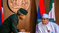 Explainer: Who is in charge of Nigeria amid Buhari, Osinbajo's absence?