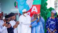 APC speaks on "Leaked APC 2023 Election Document", blames PDP