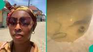 Lady cries out, shares what she found in Lagos compound after heavy downpour, video trends