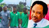 Nigeria vs Benin: Shehu Sani mentions Nigerians who should not watch Super Eagles live