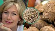 United Kingdom reduces tariff on 3,000 products from Nigeria, after accepting naira as trade currency