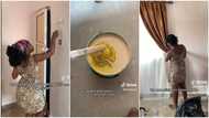 "I don't have money": After renting house, lady paints her apartment, decorates it to her taste