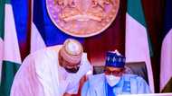 BREAKING: Presidency releases fresh statement on electoral bill, reveals what Buhari will do