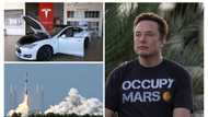World's richest man, Elon Musk's many streams of income, value and market Cap