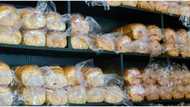 Bakers association increases bread prices by 30% amid looming CBN ban on wheat, sugar